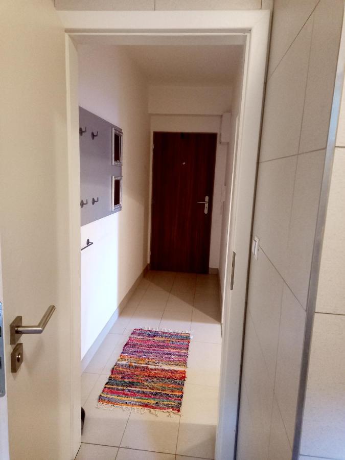 Apartmany Za Sneznikem Dolní Morava المظهر الخارجي الصورة