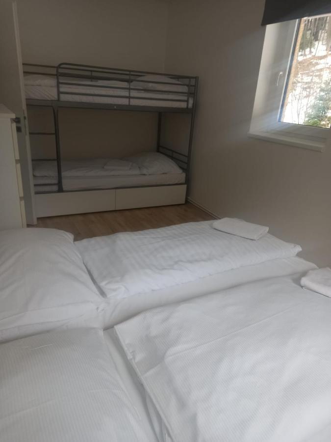 Apartmany Za Sneznikem Dolní Morava المظهر الخارجي الصورة