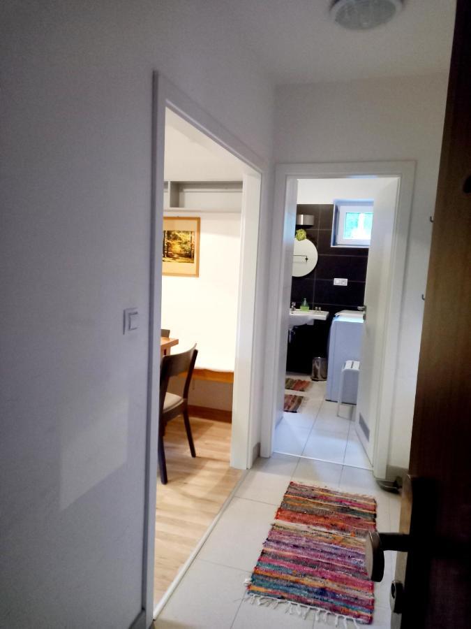 Apartmany Za Sneznikem Dolní Morava المظهر الخارجي الصورة